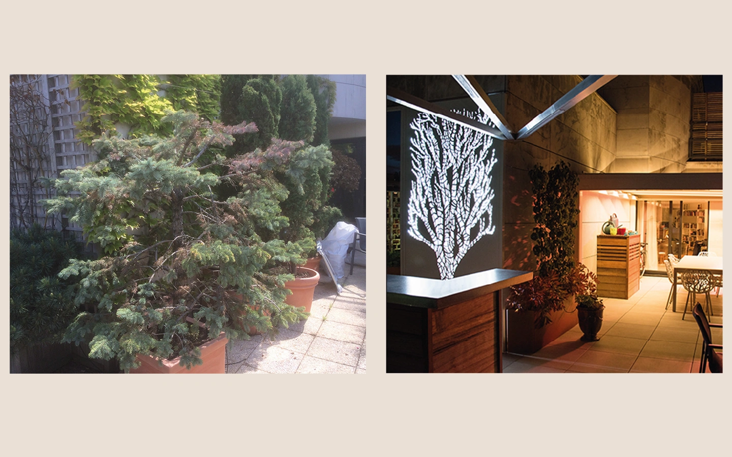 pergola bioclimatique en sortie de terrasse